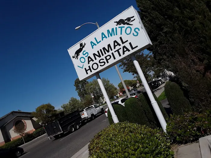 Los Alamitos Animal Hospital Picture 1