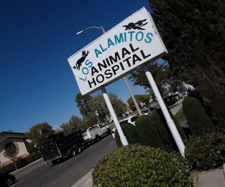 Los Alamitos Animal Hospital