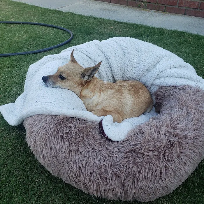 Los Alamitos Animal Hospital Picture 7