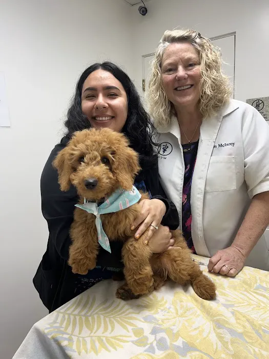 Amigo Animal Hospital Picture 8