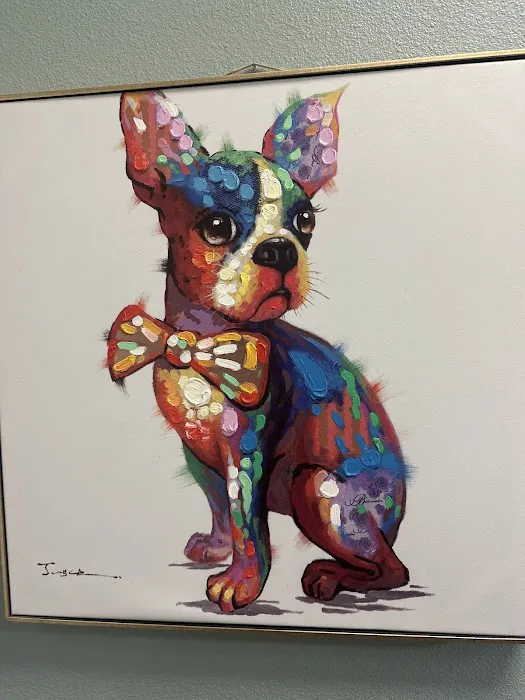 Huntington Park Dog & Cat Clinic Picture 2
