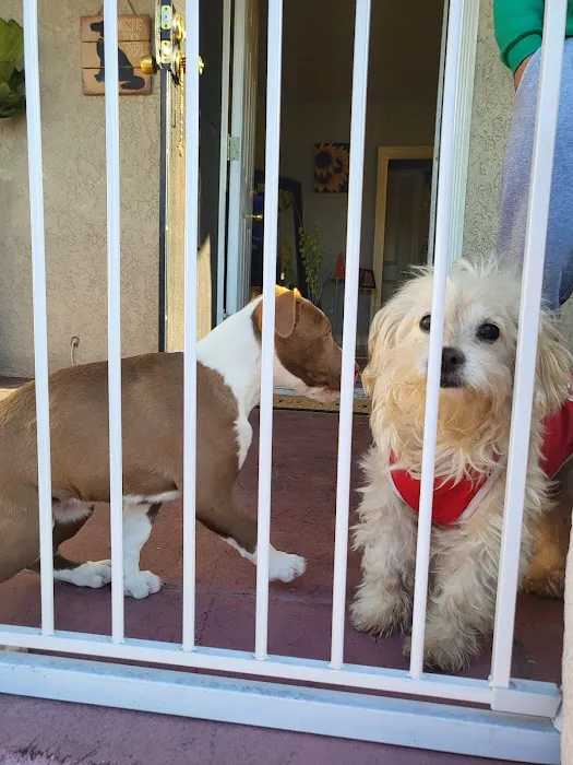 Huntington Park Dog & Cat Clinic Picture 3