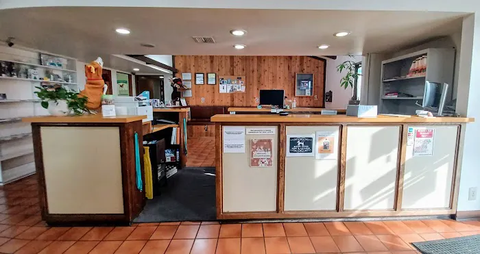 South Bay Veterinary Care ( Veterinary Hospital ) Picture 3