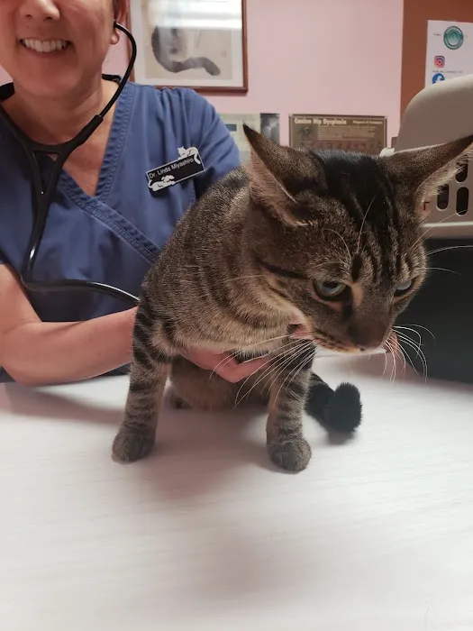 South Bay Veterinary Care ( Veterinary Hospital ) Picture 7
