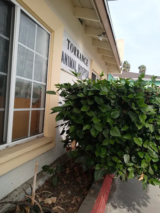 Torrance Animal hospital Picture 7