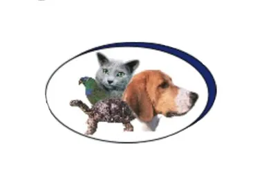 Torrance Animal hospital Picture 4