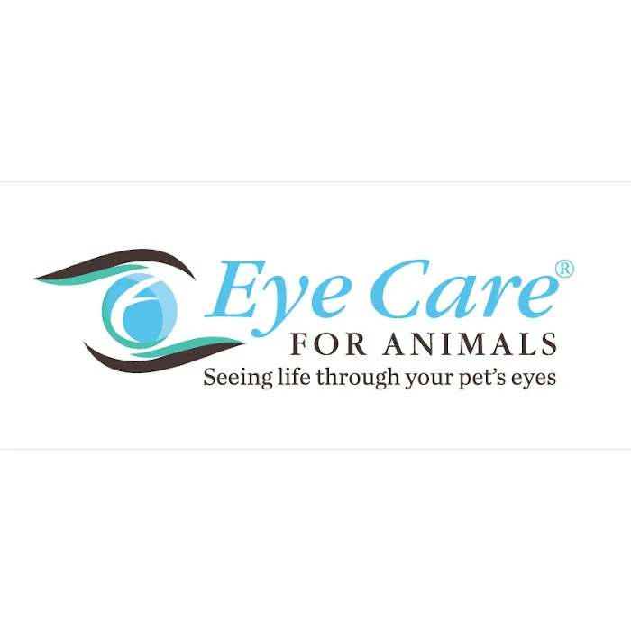 Eye Care for Animals - Torrance Picture 8