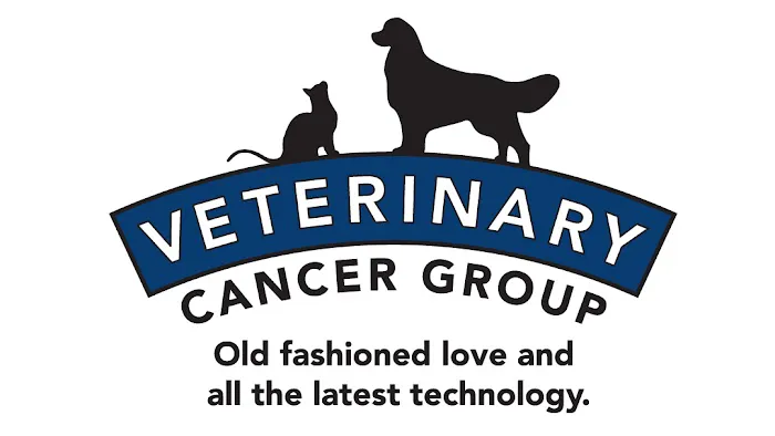 Veterinary Cancer Group SB, A Thrive Pet Healthcare Partner Picture 4