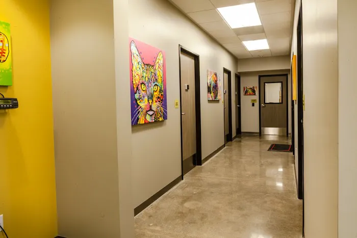 ACCESS South Bay Picture 2