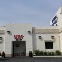Torrance Companion Animal Hospital ico