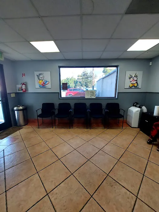 Torrance Companion Animal Hospital Picture 6