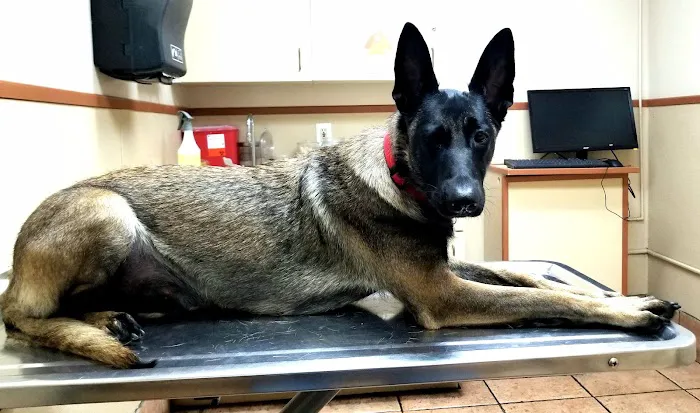 Torrance Companion Animal Hospital Picture 7