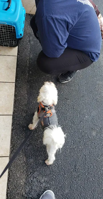 Torrance Companion Animal Hospital Picture 5