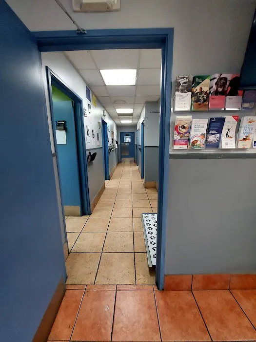 Torrance Companion Animal Hospital Picture 3
