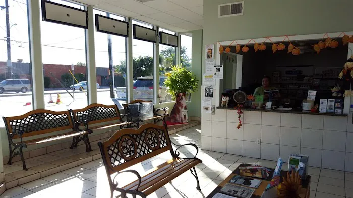 Ohana veterinarian clinic Picture 3