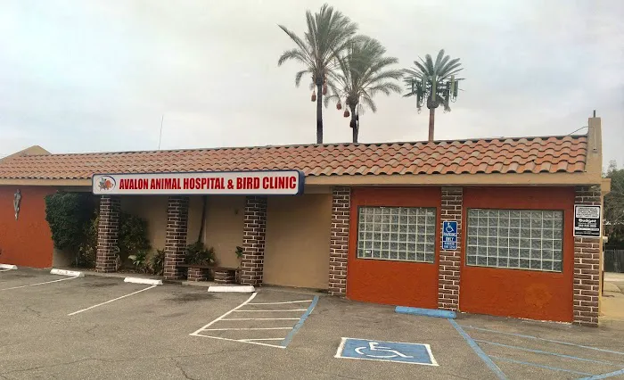 Avalon Animal Hospital & Bird Clinic Picture 8