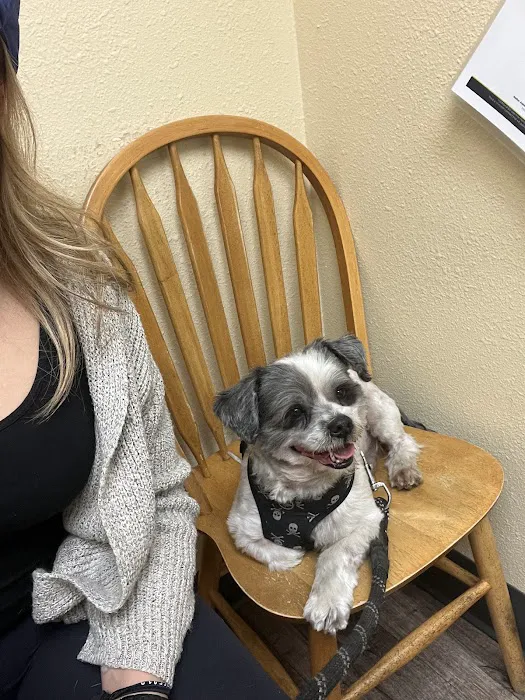Harbor Animal Hospital Picture 5