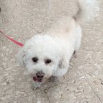 Hollypark Pet Clinic