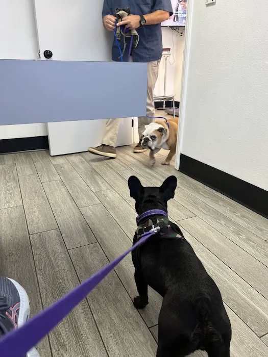 Alondra Animal Hospital Picture 2