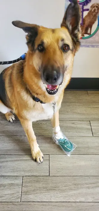 Alondra Animal Hospital Picture 6