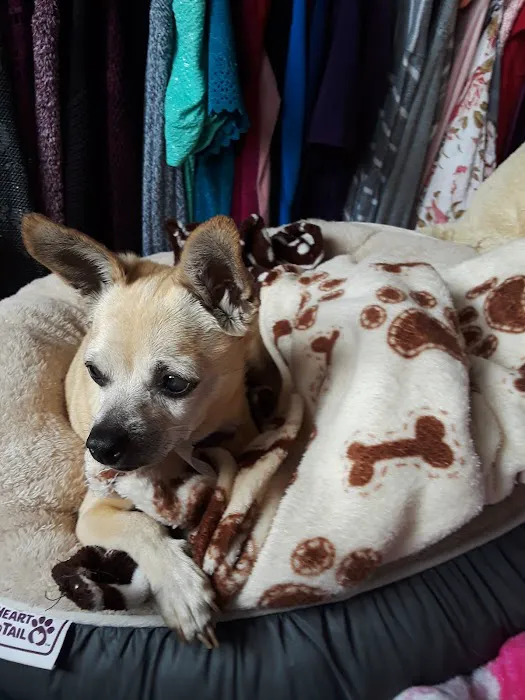 Lawndale Pet Hospital: Paul Lynch DVM Picture 6
