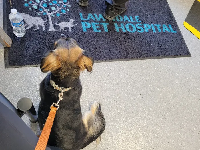 Lawndale Pet Hospital Picture 7