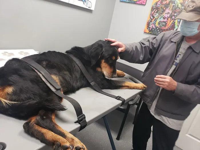 Lawndale Pet Hospital Picture 4