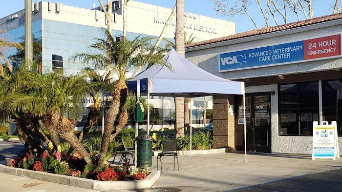 VCA Advanced Veterinary Care Center Picture 4
