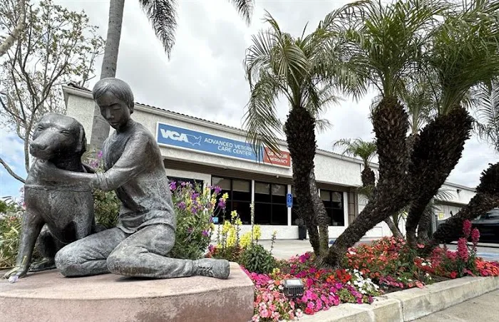 VCA Advanced Veterinary Care Center Picture 7