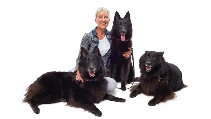 VCA Advanced Veterinary Care Center Picture 2