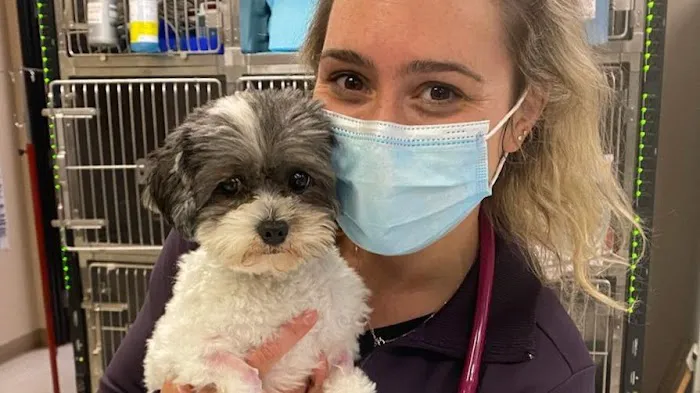 VCA Advanced Veterinary Care Center Picture 5