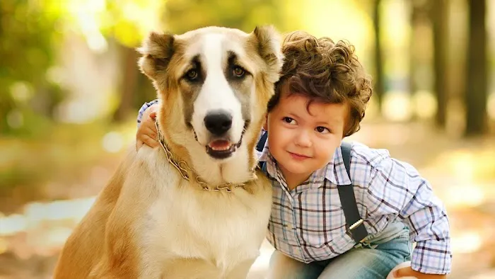 Hawthorne Quality Pet Care (formerly Hawthorne Dog & Cat Hospital) Picture 9