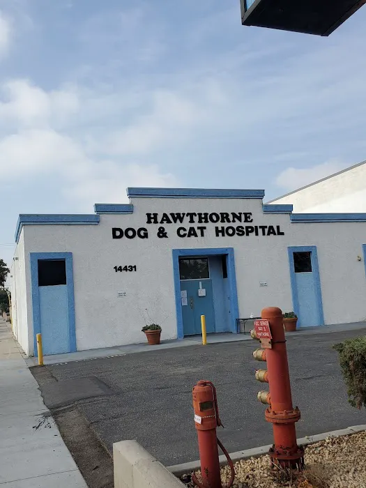 Hawthorne Quality Pet Care (formerly Hawthorne Dog & Cat Hospital) Picture 5