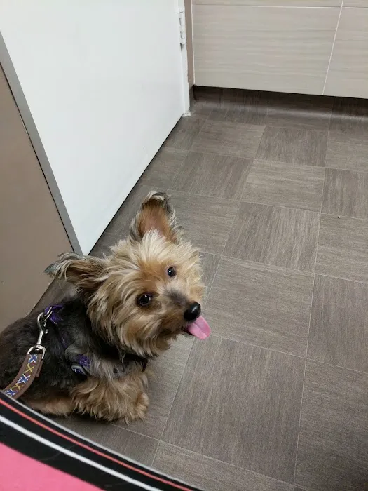Hawthorne Quality Pet Care (formerly Hawthorne Dog & Cat Hospital) Picture 7