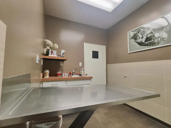 Hawthorne Quality Pet Care (formerly Hawthorne Dog & Cat Hospital) Picture 6