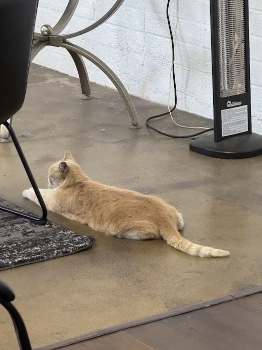 Hawthorne Quality Pet Care (formerly Hawthorne Dog & Cat Hospital) Picture 1