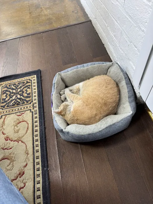 Hawthorne Quality Pet Care (formerly Hawthorne Dog & Cat Hospital) Picture 2