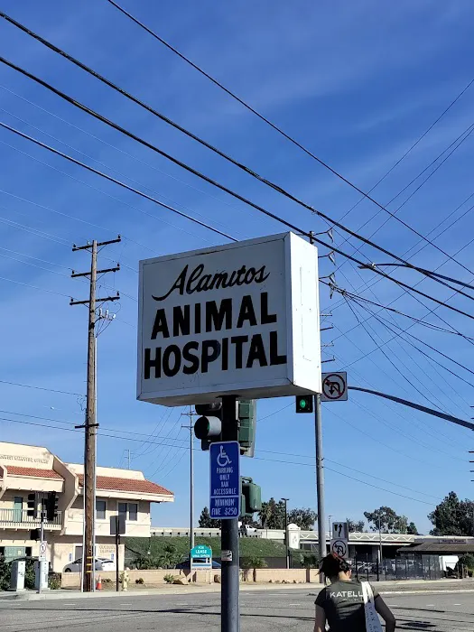 Alamitos Animal Hospital Picture 3