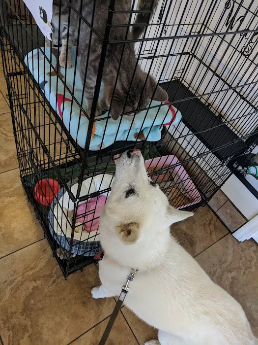 Alamitos Animal Hospital Picture 10