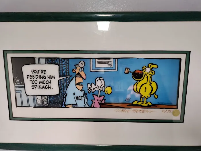 Alamitos Animal Hospital Picture 7