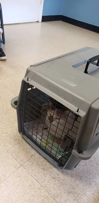 Westchase Animal Clinic Picture 7