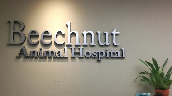 Beechnut Animal Hospital Picture 10
