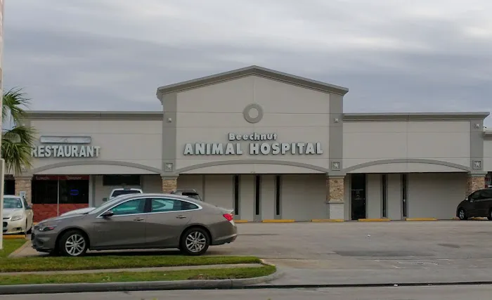 Beechnut Animal Hospital Picture 4