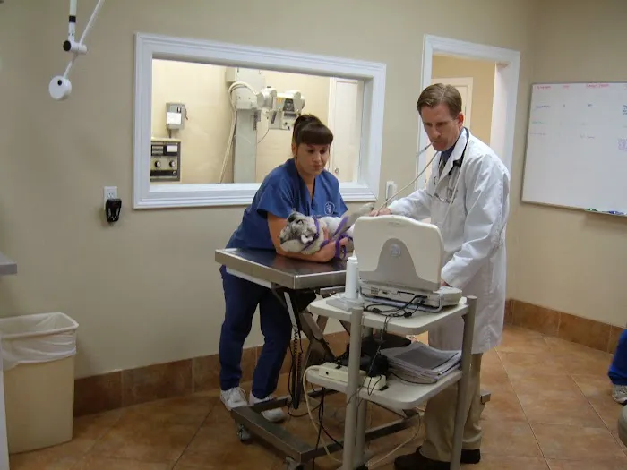 Beechnut Animal Hospital Picture 2