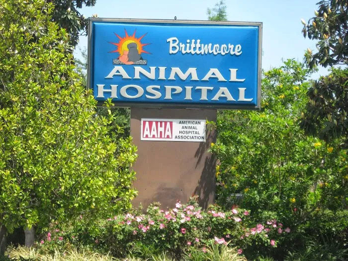 Brittmoore Animal Hospital Picture 4