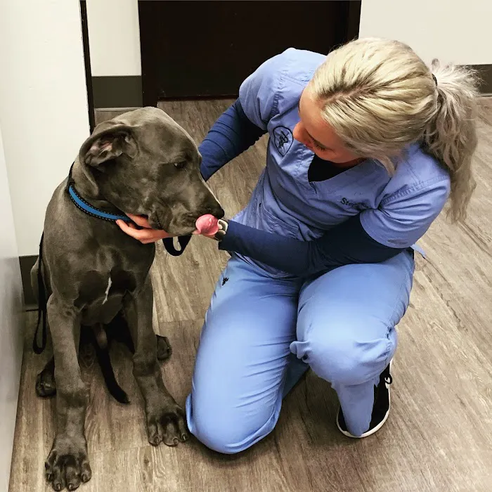 Memorial Veterinary Pet Care Hospital Picture 4