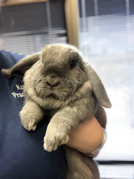 Memorial Veterinary Pet Care Hospital Picture 6