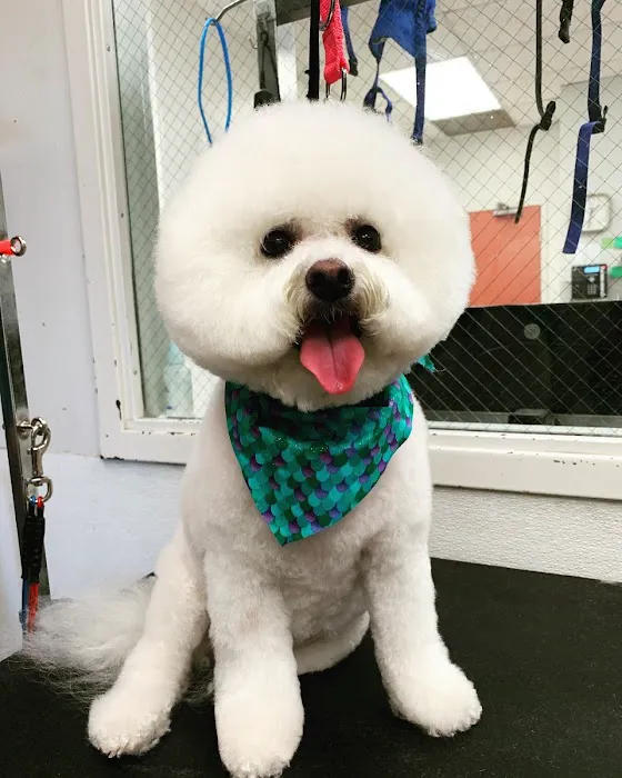 Memorial Veterinary Pet Care Hospital Picture 5