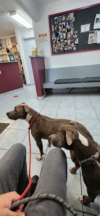 Fairbanks Animal Clinic Picture 7