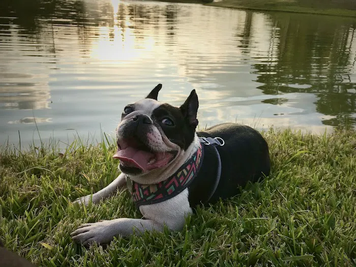 Canfel Care Animal Hospital Picture 1